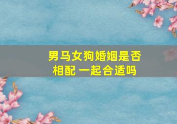 男马女狗婚姻是否相配 一起合适吗